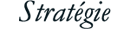Création de sites web performants répondant aux exigences des Core Web Vitals.